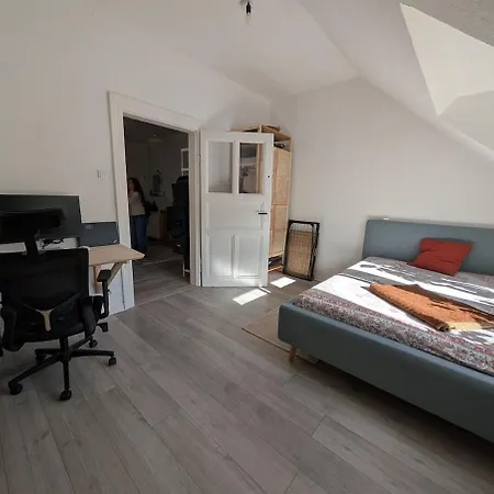 Daire Spacious - Messewohnung *